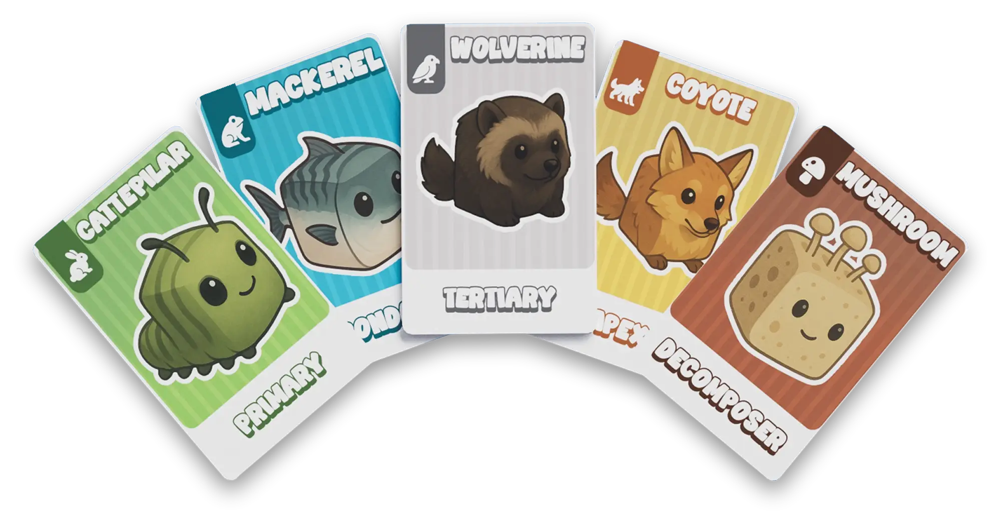 rules card